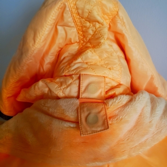 Lululemon Glacier Hoodie Vest - Picture 10 of 14